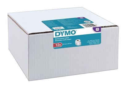 Dymo 2093095 'papírové štítky multifunkční 57mm x 32mm, 12 x 1000 ks'(57x32mm, , )