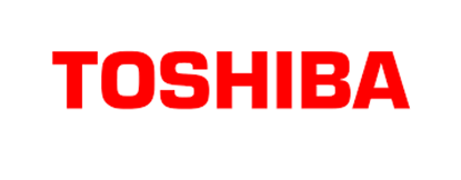 Toner Toshiba 6B000000851 (Černý)