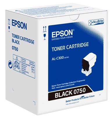 Toner Epson C13S050750 (Černý)