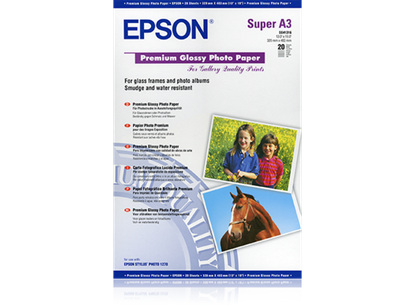 Epson S041316  (A3+, , )