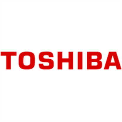 Toner Toshiba T-5070E (Černý)