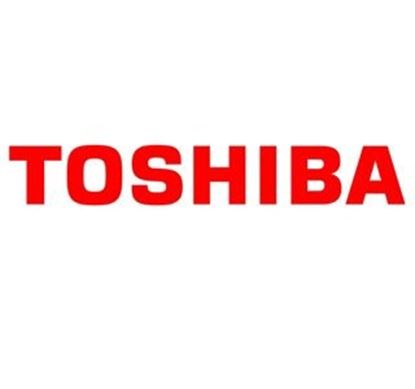 Toner Toshiba T-FC20EK (Černý)