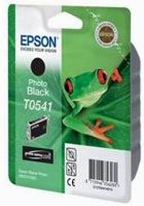Zásobník Epson T0541 (Černý foto)
