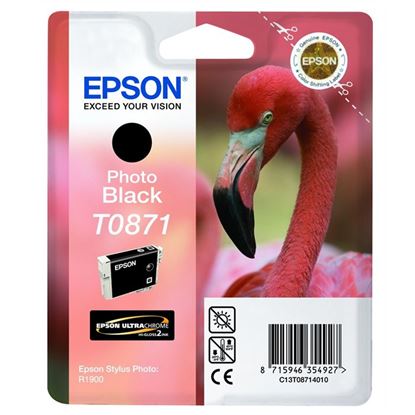 Zásobník Epson T0871 (Černý foto)