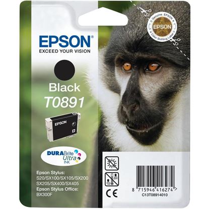 Zásobník Epson T0891 (Černý)
