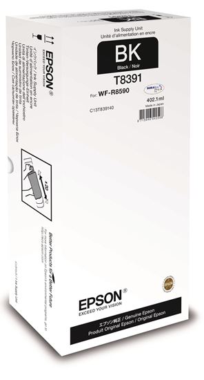 Zásobník Epson T8691 (Černý) (Recharge XXL pro A3)